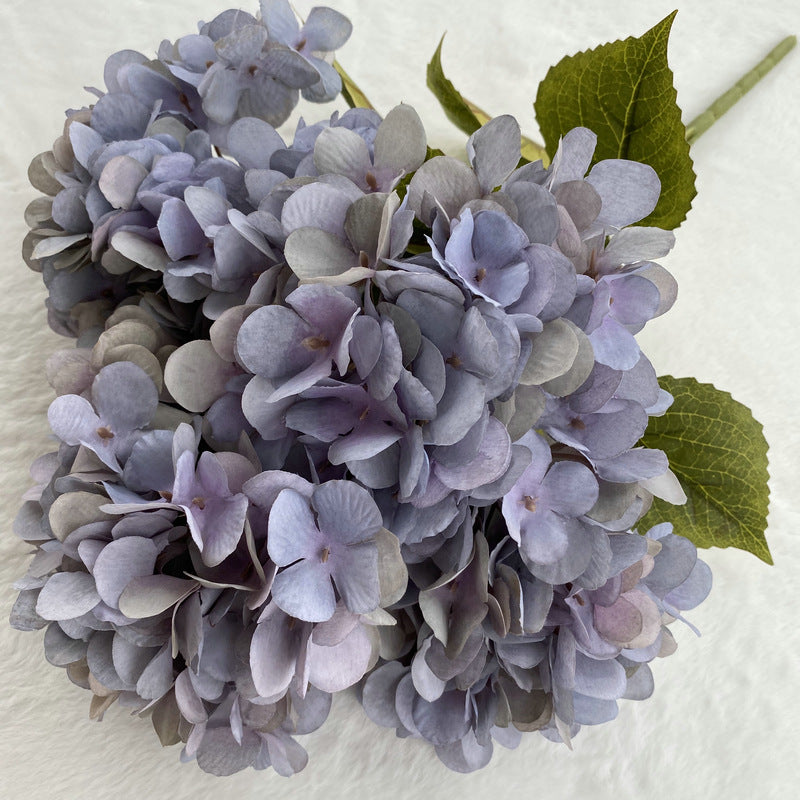 H0025 Hydrangea