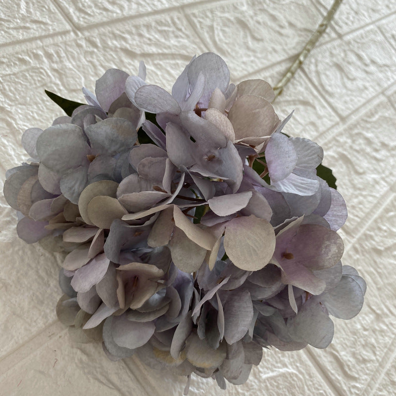 H0038 Hydrangea