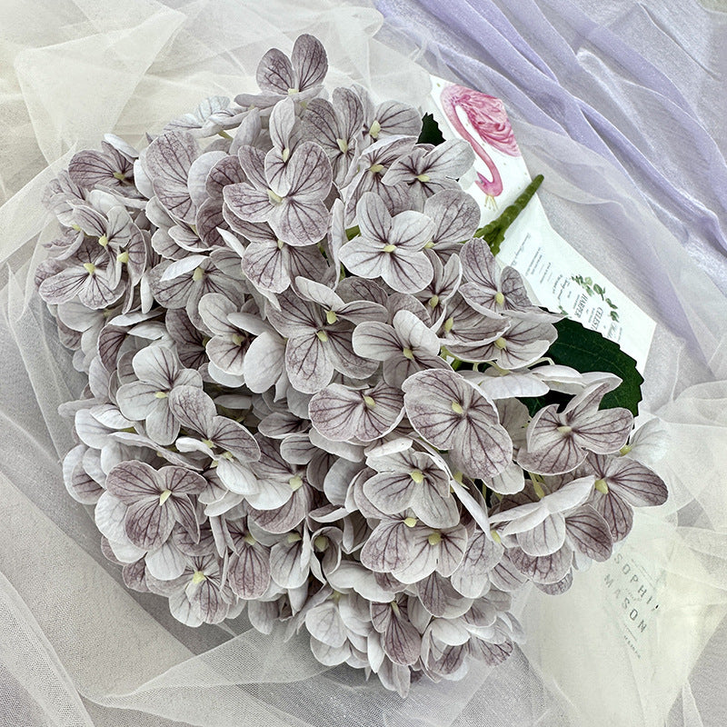 H0039 Hydrangea