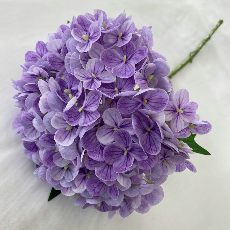 H0003 Hydrangea