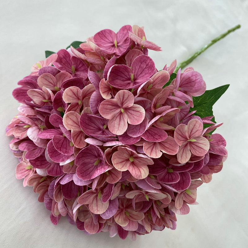 H0003 Hydrangea