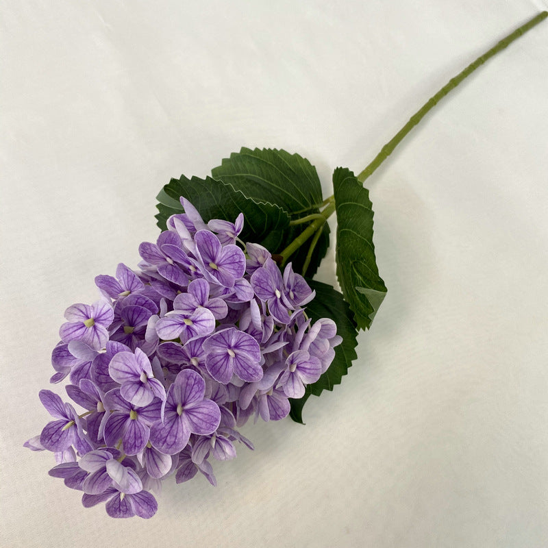 H0042 Hydrangea