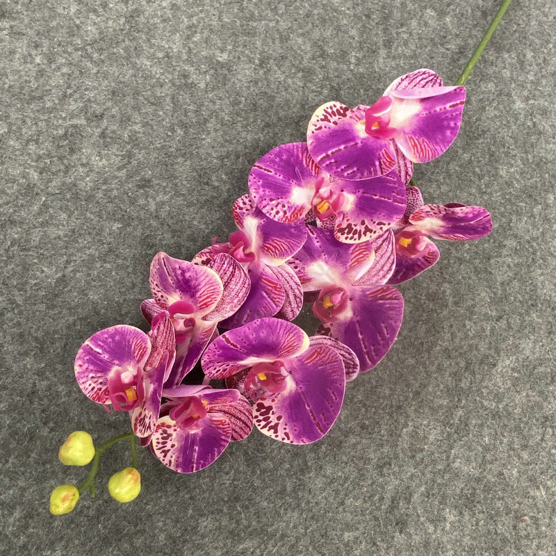 O0017 Single color printed Phalaenopsis