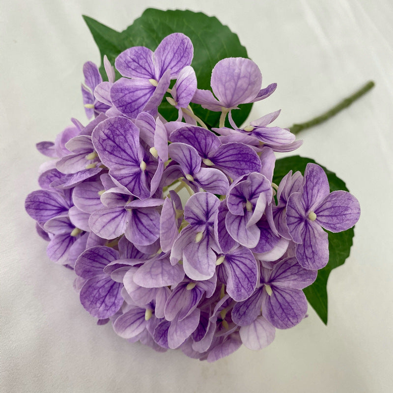 H0021 Hydrangea