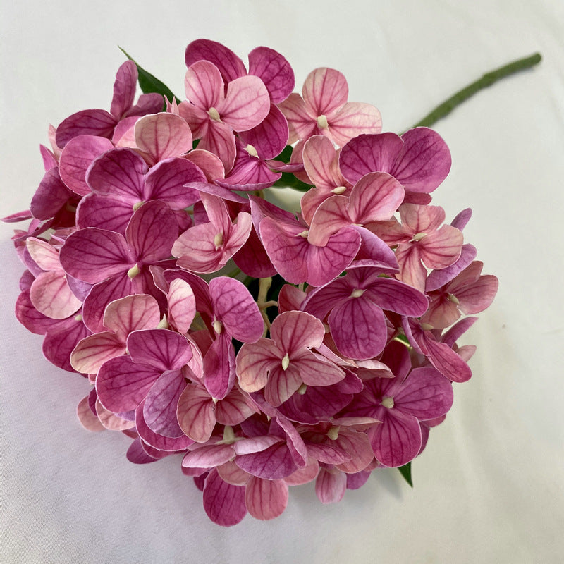 H0021 Hydrangea