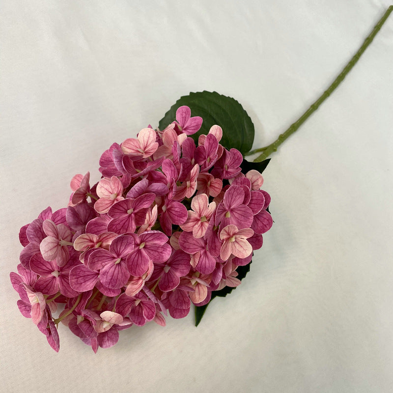 H0042 Hydrangea