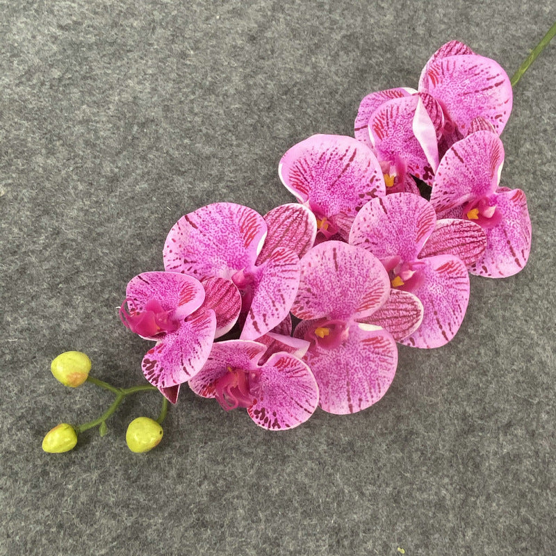 O0017 Single color printed Phalaenopsis