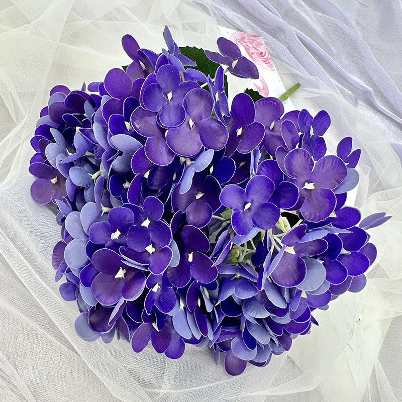 H0039 Hydrangea