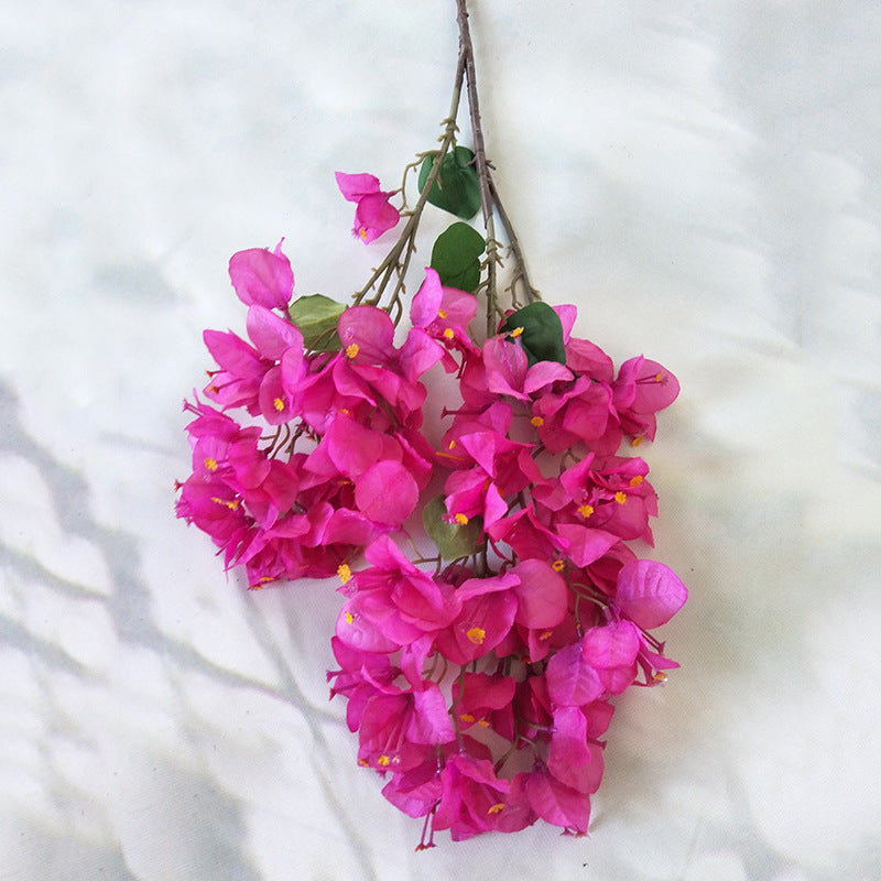 Pump blossom002