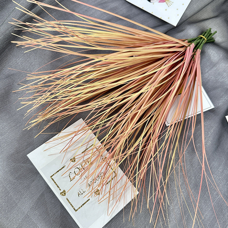 Reed grass 001