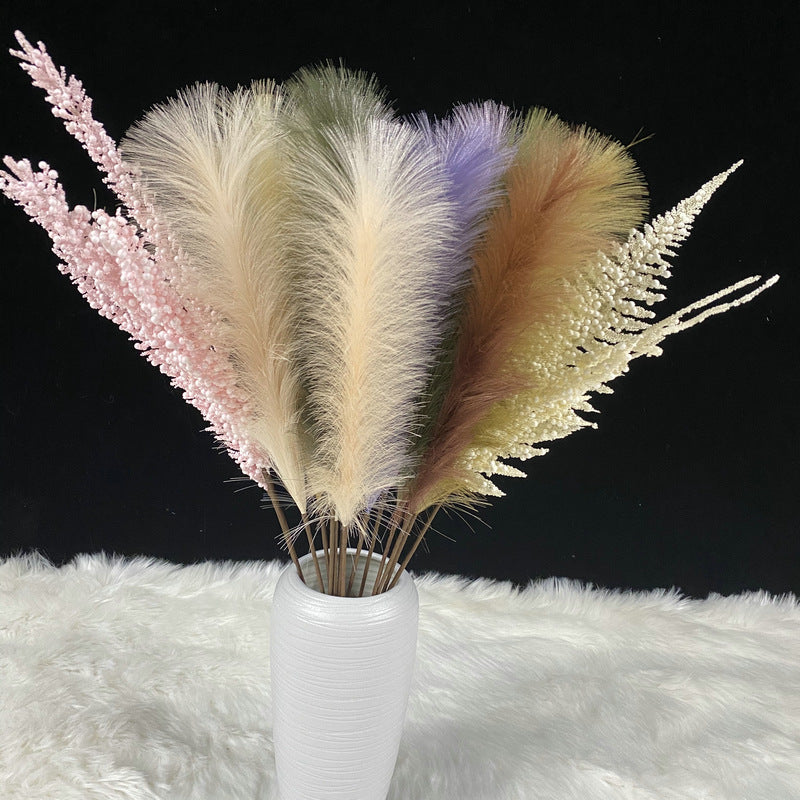 Reed grass 003