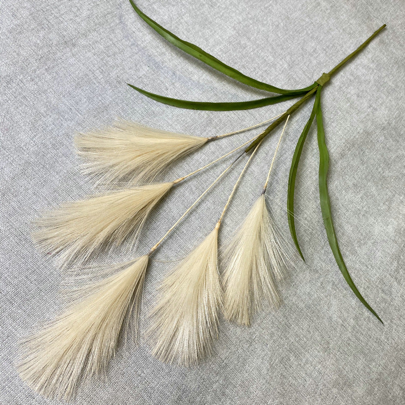 Reed grass 004