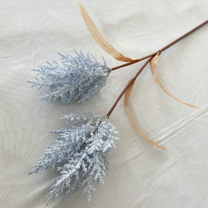 Reed grass 002