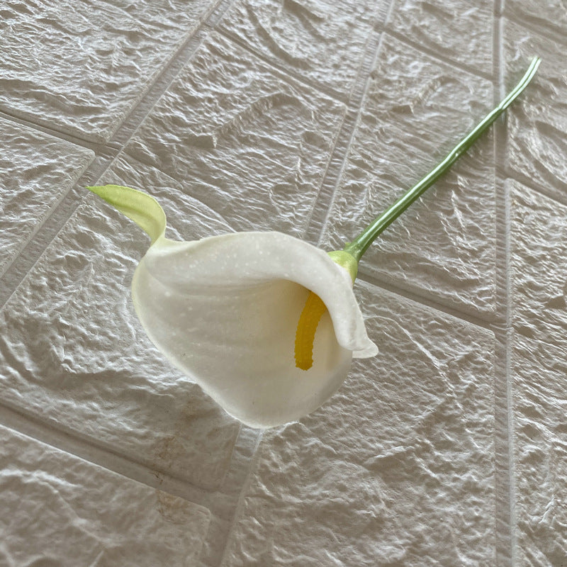 Calla lily 001