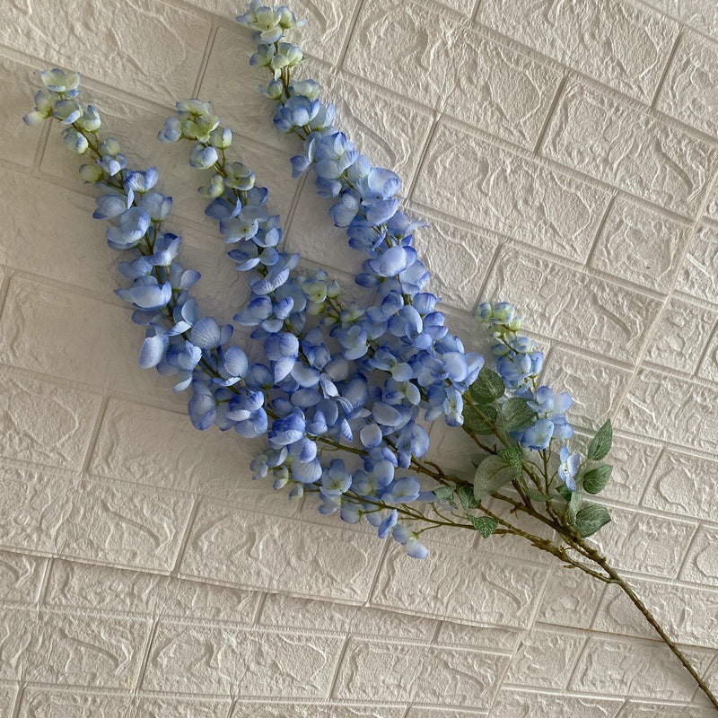 wisteria 7