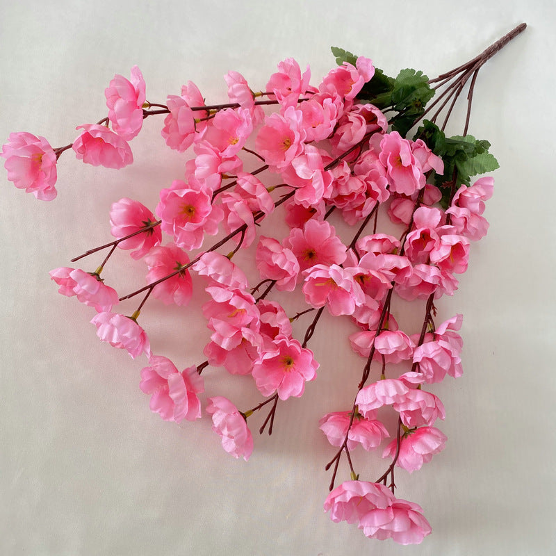 peach blossom001