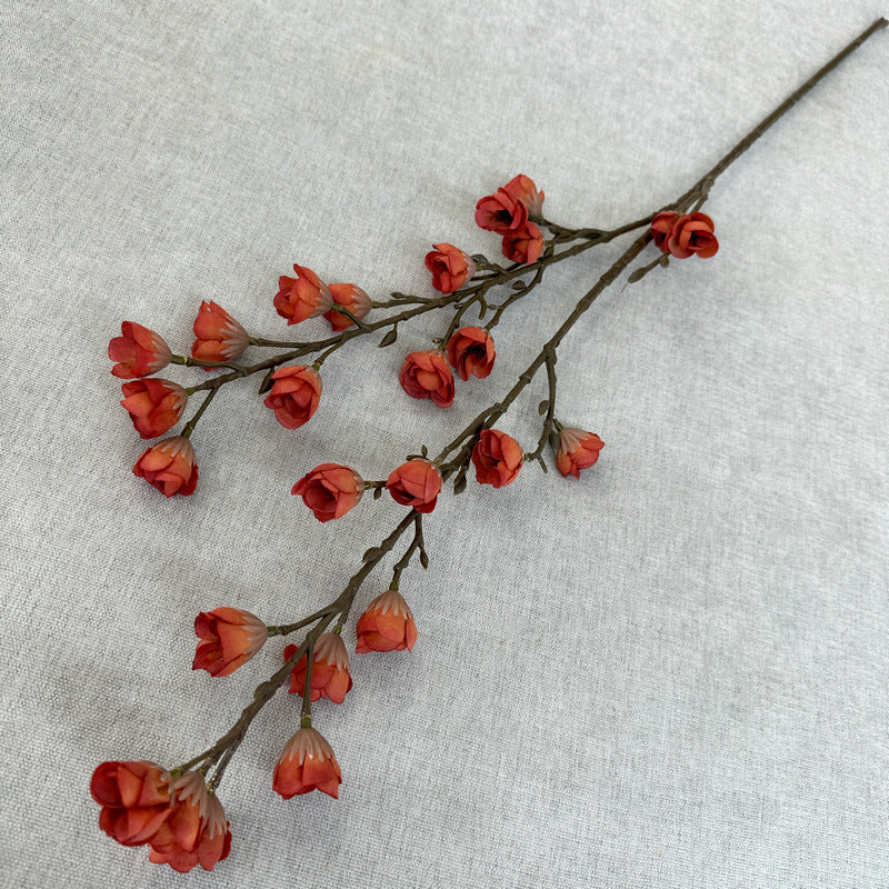 plump blossom008