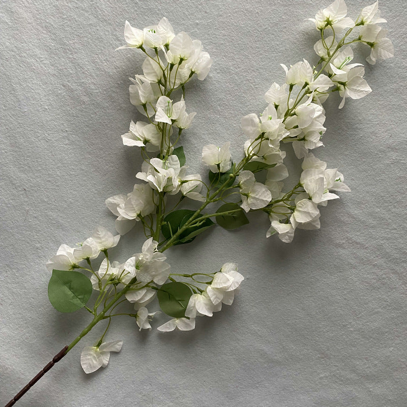 Plum Blossom001