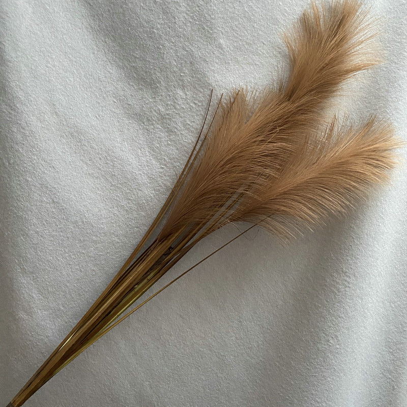 Reed grass 010
