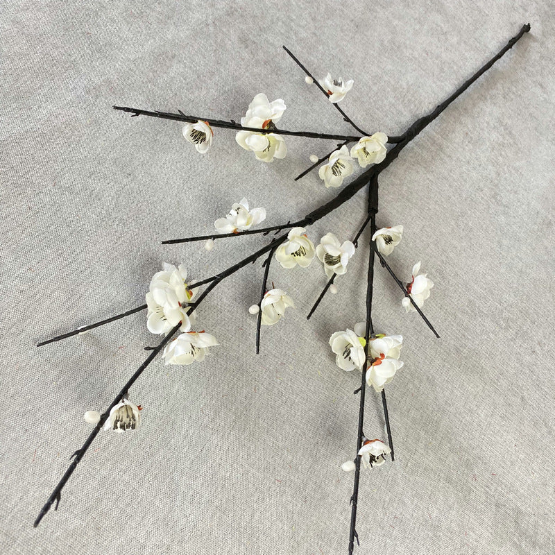 plump blossom009