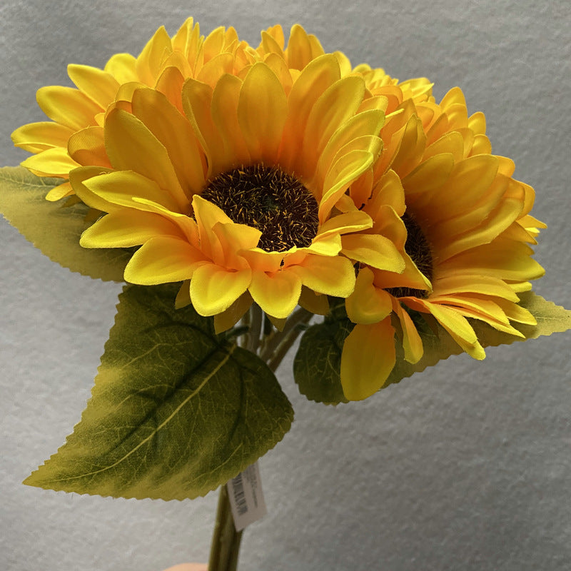 Sunflower 001