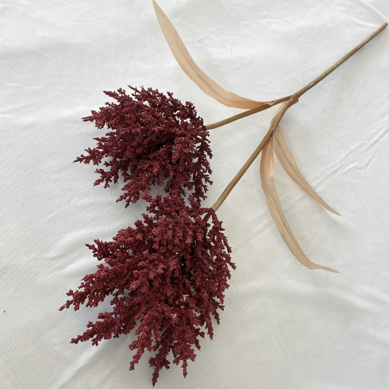 Reed grass 002