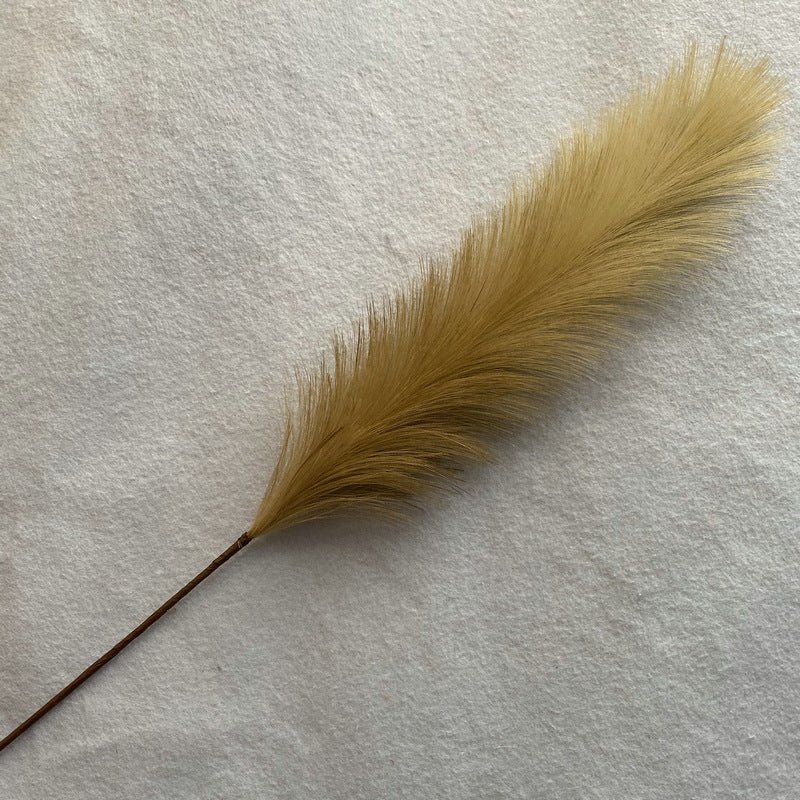 Reed grass 003