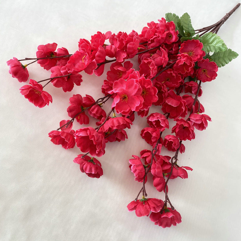 peach blossom001
