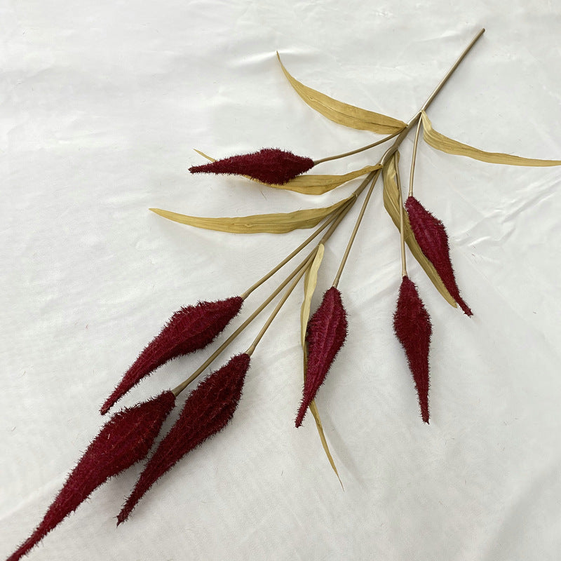 Reed grass 008