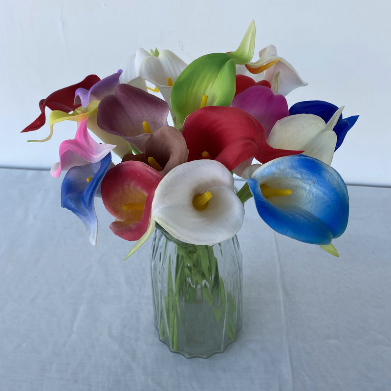 Calla lily 001