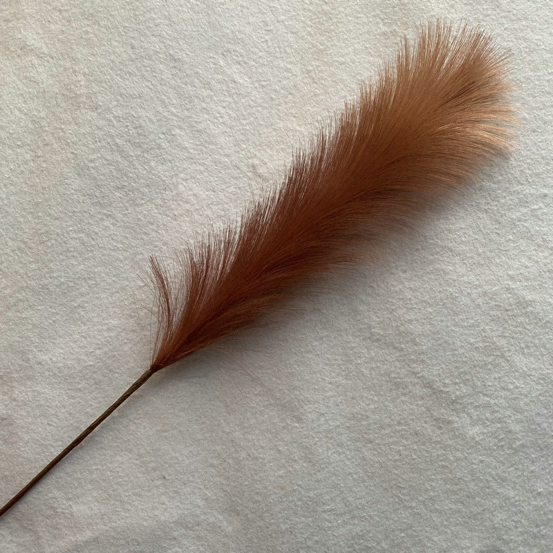Reed grass 003