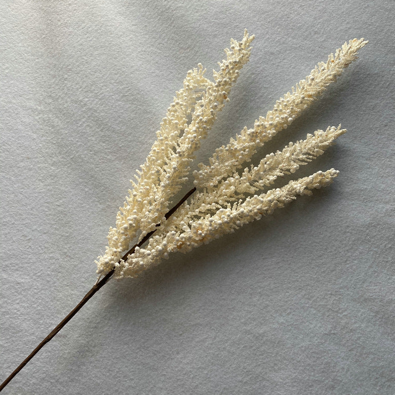 Reed grass 009