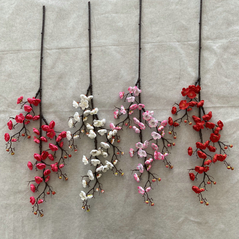 Plump blossom004