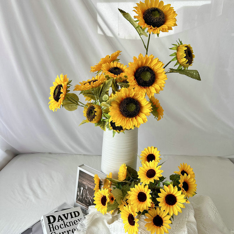 Sunflower 005