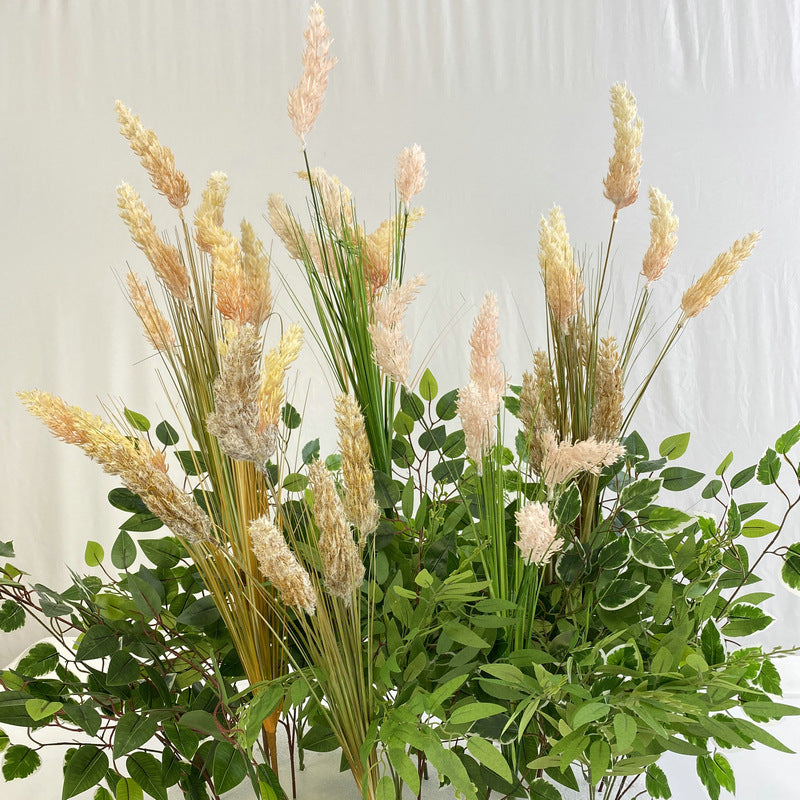 Reed grass 009