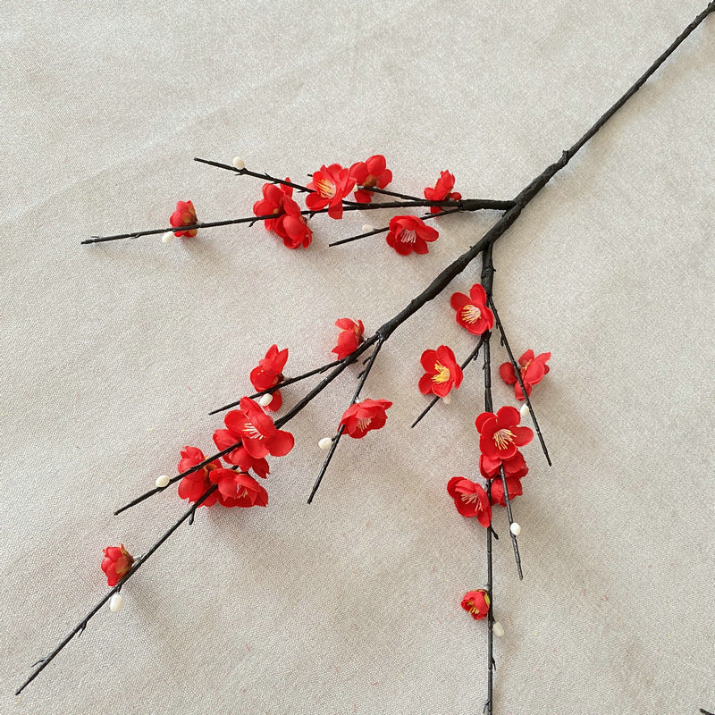 plump blossom009