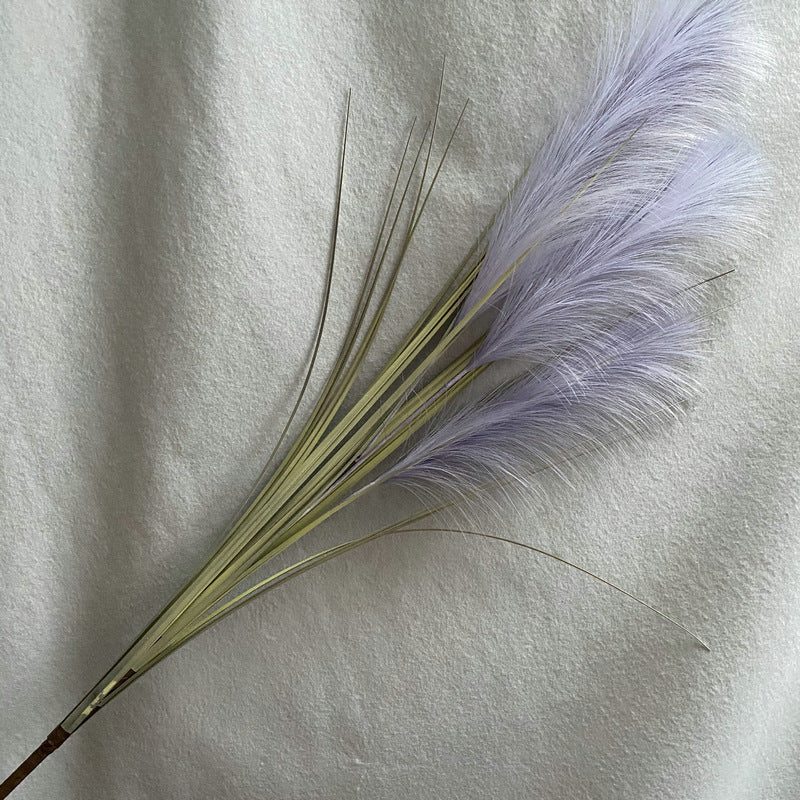 Reed grass 010