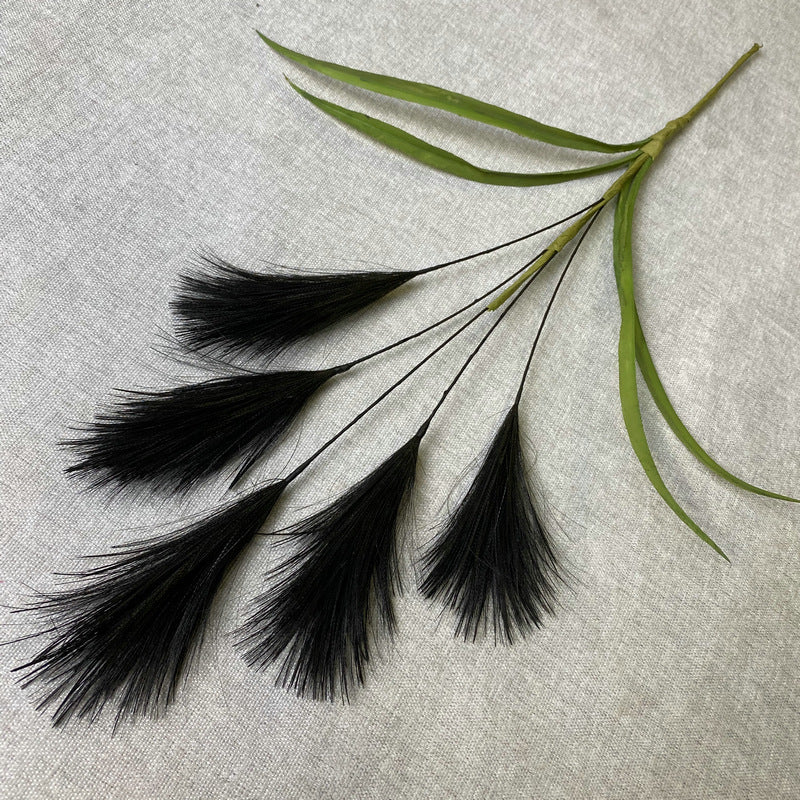 Reed grass 004