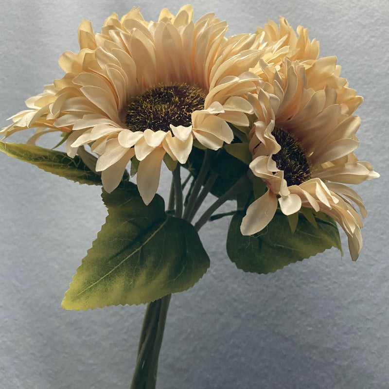 Sunflower 001