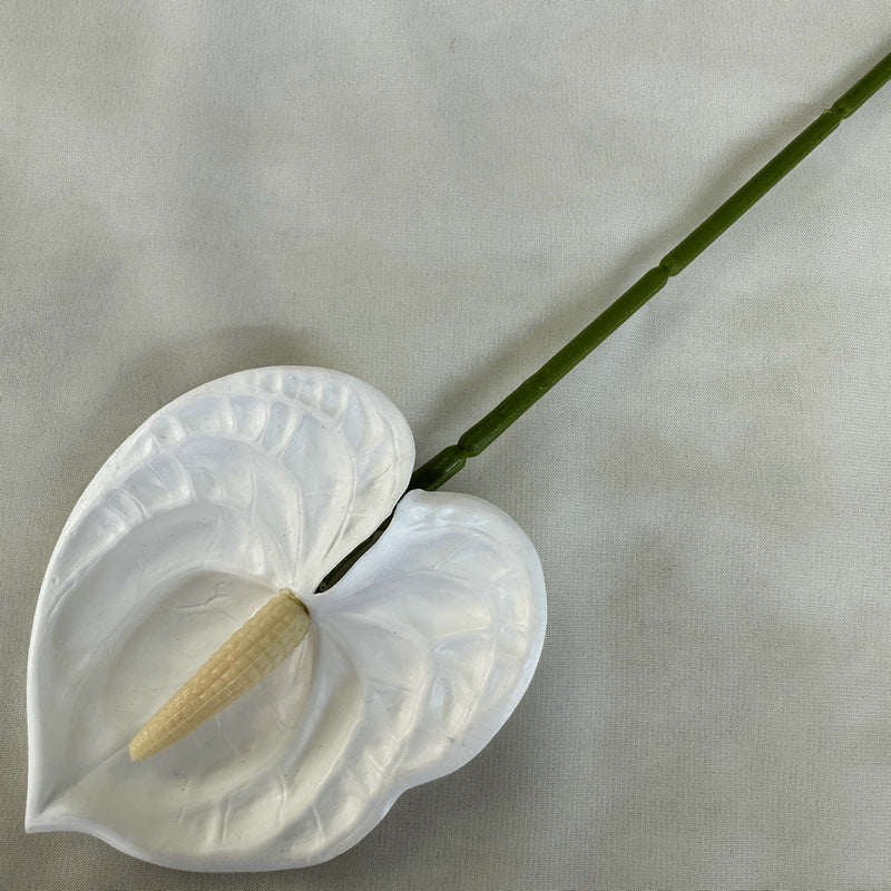 Calla lily 002