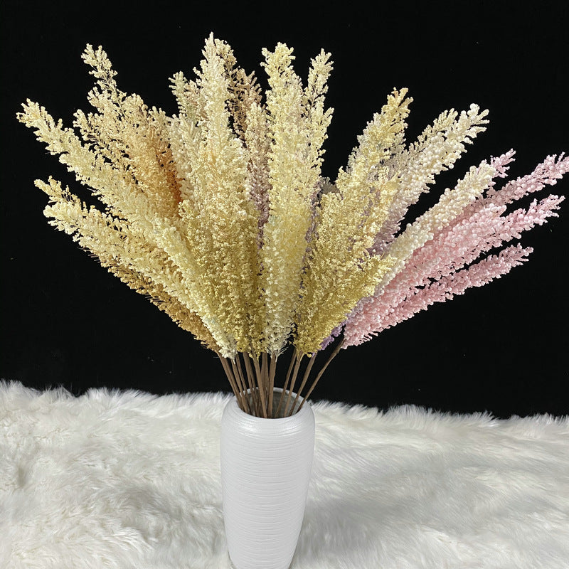 Reed grass 009