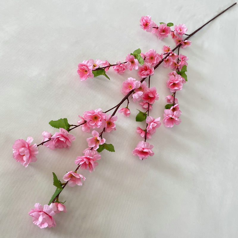 peach blossom 003