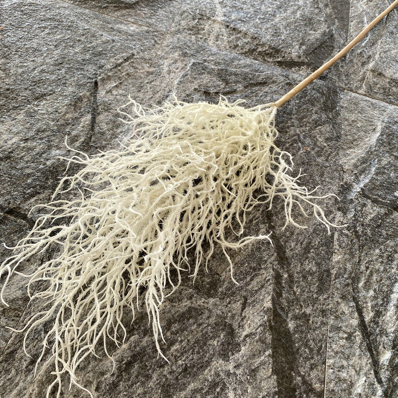 Reed grass 006