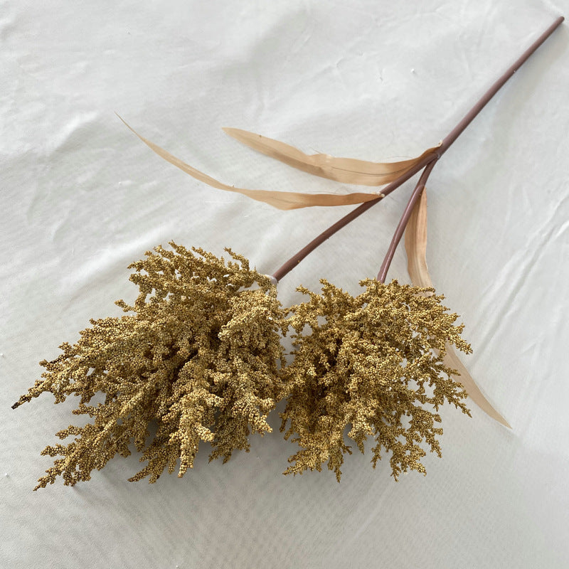 Reed grass 002