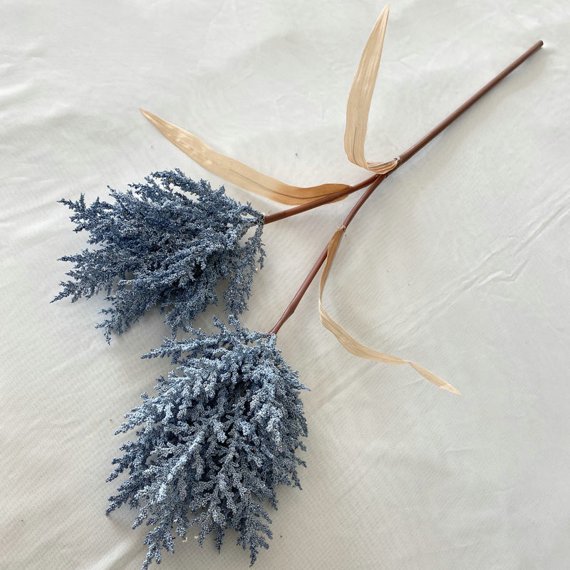 Reed grass 002