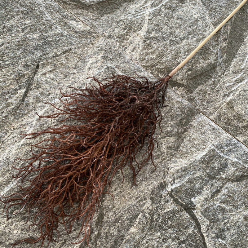 Reed grass 006