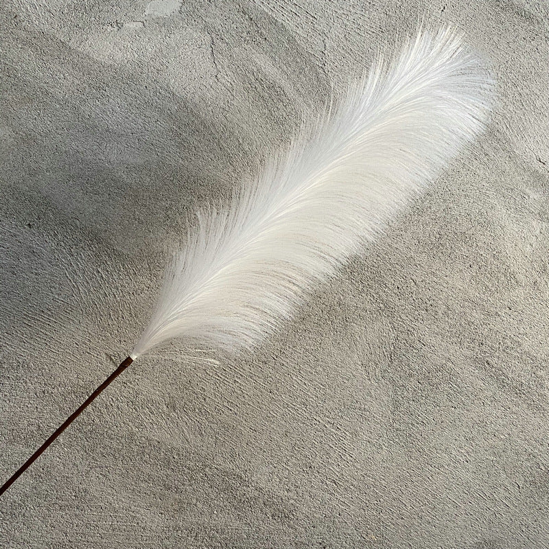 Reed grass 003
