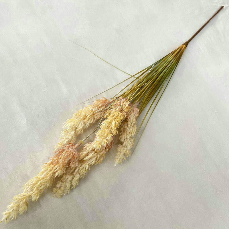 Reed Grass 005