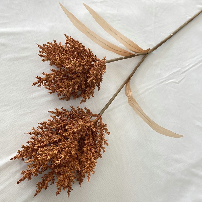 Reed grass 002