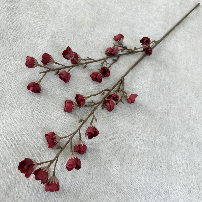plump blossom008